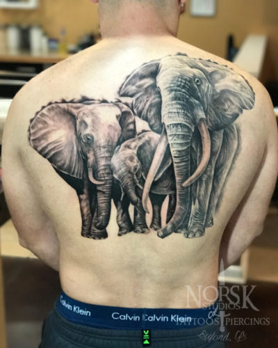elephantfamily